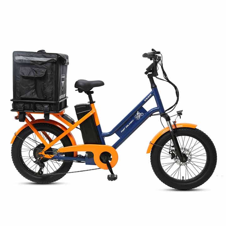 TXED Hot Selling Delivery Electric Bike