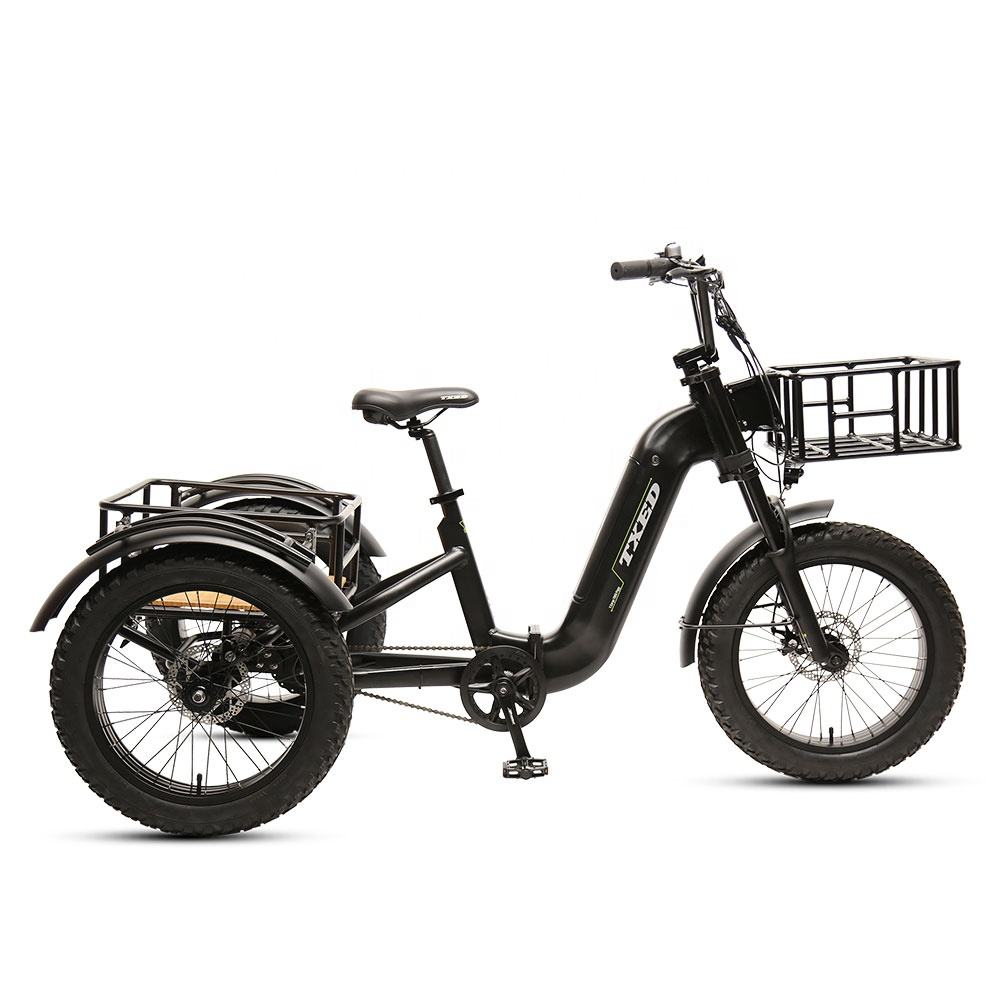 TXED Family Cargo 20" · 250W/350W/500W Custom Aluminum