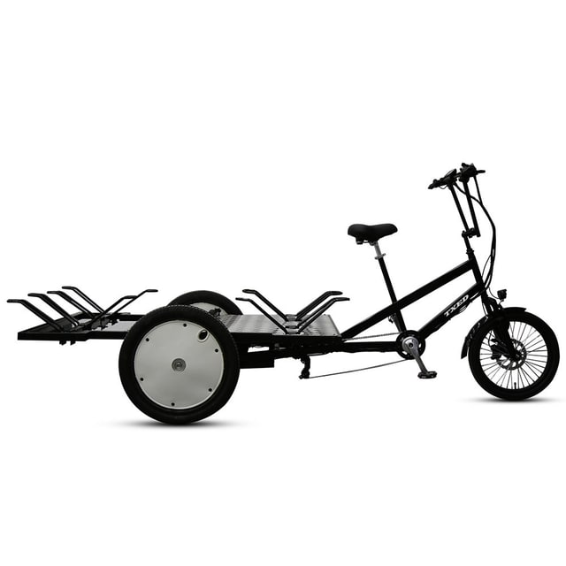 TXED F20 R19" · Triciclo Plataforma Abierta
