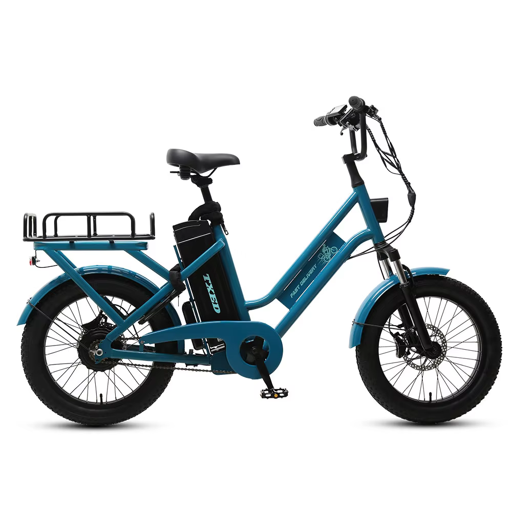 TXED Heavy-Duty Cargo 20" · 250W/350W/500W Custom Steel Frame