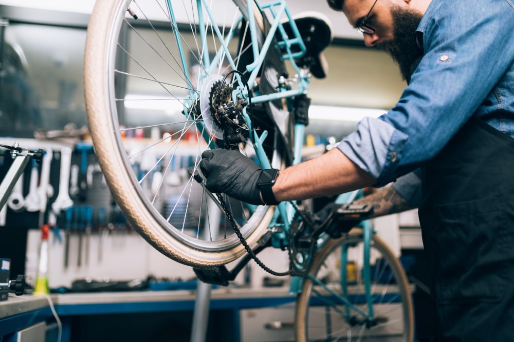 Quality Inspection & Certification