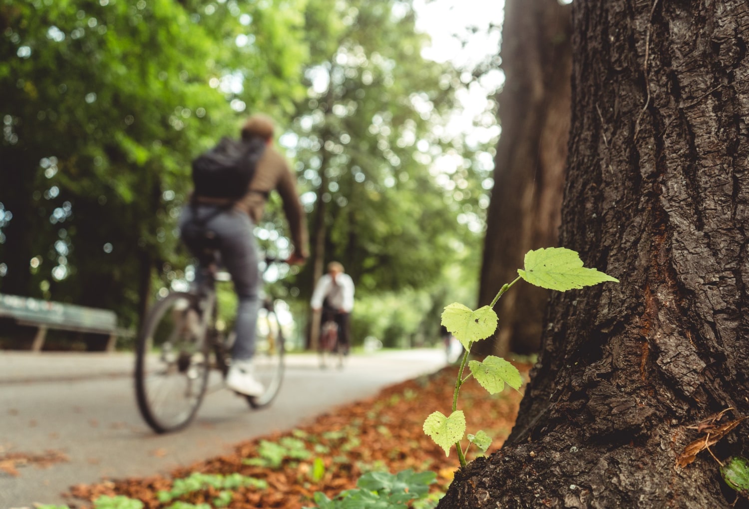 Next-Gen Battery Tech for Shared E-Bikes | Sustainable Urban Mobility