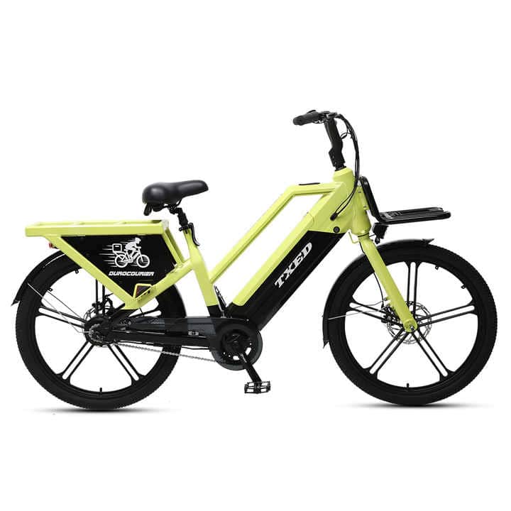 TXED Long-Endurance Double Battery Delivery E-Bike