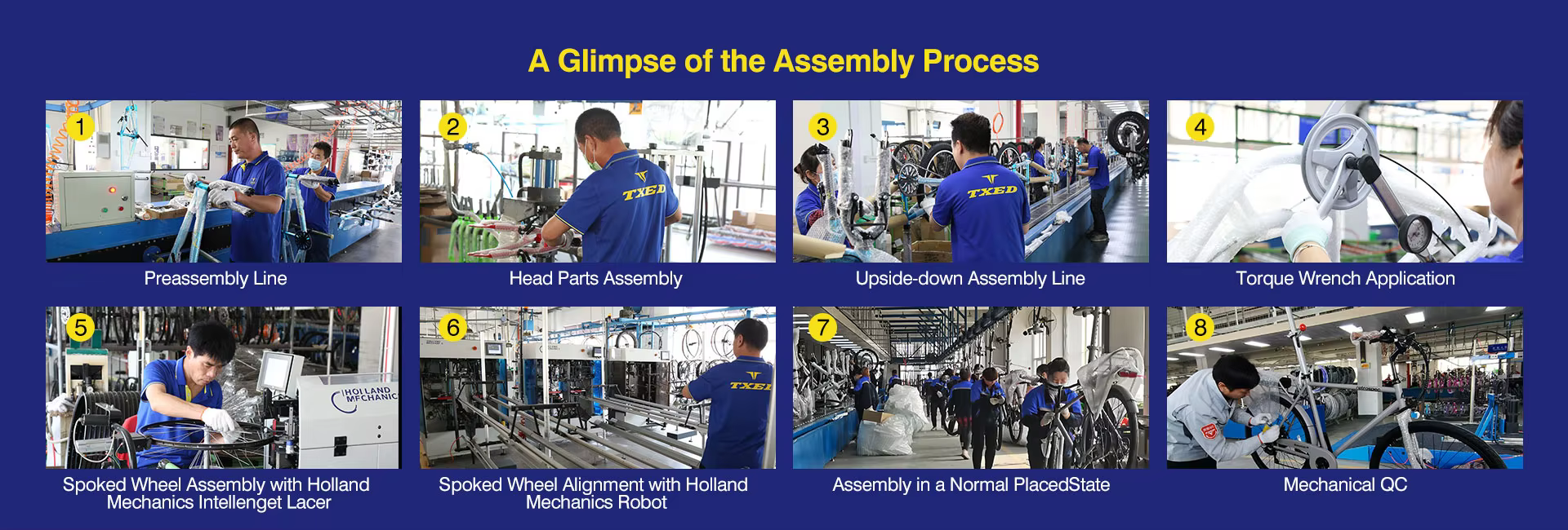 Workers and standardized stations on the TXED electric bike assembly line